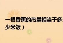 一根香蕉的热量相当于多少米饭（一根香蕉的热量相当于多少米饭）