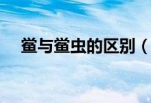 鲎与鲎虫的区别（鲎虫与鲎是什么关系）