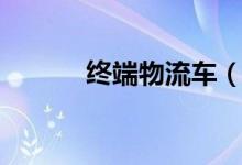 终端物流车（终端物流是什么）