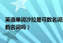 英语单词沙拉是可数名词还是不可数名词（英语中沙拉是可数名词吗）