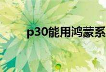 p30能用鸿蒙系统（p30能用5g吗）