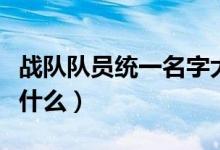 战队队员统一名字大全（战队队员统一名字有什么）