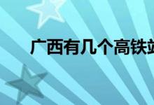 广西有几个高铁站（广西有几个民族）
