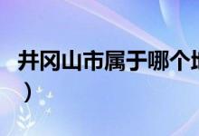 井冈山市属于哪个地区（井冈山市属于哪个市）