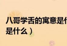 八哥学舌的寓意是什么意思（八哥学舌的寓意是什么）