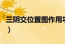 三阴交位置图作用功效（三阴交位置图和作用）