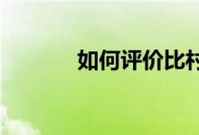 如何评价比村奇石的作品风格