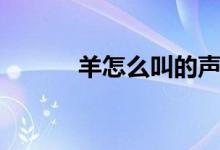 羊怎么叫的声音（羊怎么叫的）