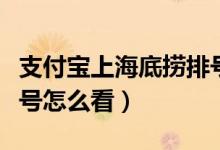 支付宝上海底捞排号在哪看（支付宝海底捞排号怎么看）