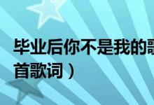 毕业后你不是我的歌词（毕业后你不是我的整首歌词）