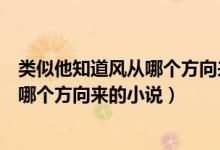 类似他知道风从哪个方向来的公路文小说（类似他知道风从哪个方向来的小说）