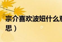 宗介喜欢波妞什么意思（波姐喜欢宗介什么意思）