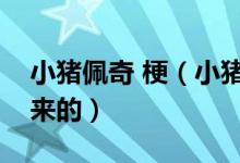 小猪佩奇 梗（小猪佩奇是什么梗这个梗怎么来的）