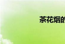 茶花烟的产地是哪里