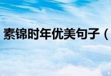 素锦时年优美句子（素年锦时里的经典语录）