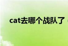 cat去哪个战队了（解说cat是哪个战队）