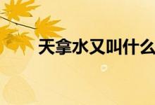 天拿水又叫什么（天拿水什么成分）