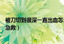 被刀切到很深一直出血怎么办（手指头被刀切到了很深怎么急救）
