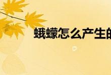 蛾蠓怎么产生的（蛾蠓怎么消灭）