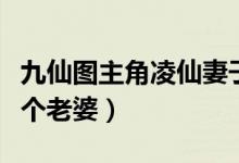 九仙图主角凌仙妻子有几个（九仙图凌仙有几个老婆）