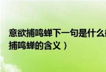 意欲捕鸣蝉下一句是什么欲意捕鸣蝉的欲是什么意思（意欲捕鸣蝉的含义）