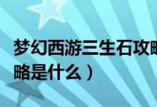梦幻西游三生石攻略视频（梦幻西游三生石攻略是什么）
