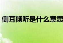 侧耳倾听是什么意思（词语侧耳倾听的意思）