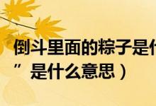 倒斗里面的粽子是什么（倒斗中的术语“粽子”是什么意思）