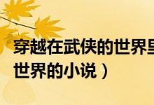 穿越在武侠的世界里小说（求几本穿越到武侠世界的小说）