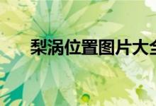 梨涡位置图片大全（梨涡位置有几种）