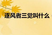 逐风者三觉叫什么（逐风者觉醒后叫什么）