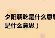 夕阳朝乾是什么意思（朝乾夕惕和夕阳朝乾各是什么意思）