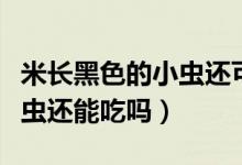 米长黑色的小虫还可以吃吗（米里有黑色的小虫还能吃吗）