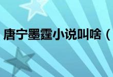 唐宁墨霆小说叫啥（唐宁墨霆小说叫什么名）