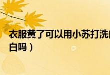 衣服黄了可以用小苏打洗白吗（小苏打可以把发黄的衣服洗白吗）
