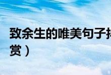 致余生的唯美句子抖音（致余生的唯美句子欣赏）