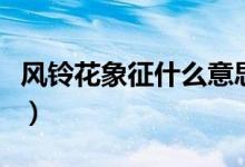风铃花象征什么意思（风铃草象征含义是什么）