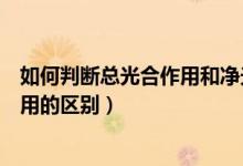 如何判断总光合作用和净光合作用（净光合作用和总光合作用的区别）
