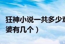 狂神小说一共多少章（小说狂神主角最后的老婆有几个）