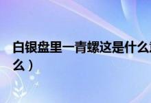 白银盘里一青螺这是什么意思（白银盘里一青螺的意思是什么）