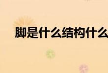 脚是什么结构什么部首（脚是什么结构）