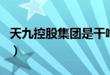 天九控股集团是干啥的（天九集团是干什么的）