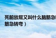 死前放屁又叫什么脑筋急转弯两个字（死前放屁又叫什么脑筋急转弯）