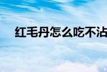 红毛丹怎么吃不沾核皮（红毛丹怎么吃）