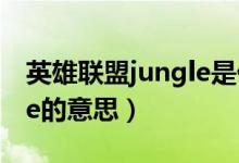 英雄联盟jungle是什么意思（英雄联盟jungle的意思）
