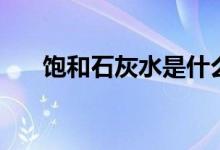 饱和石灰水是什么（石灰水有什么用）