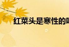红菜头是寒性的吗（红菜头是什么菜）