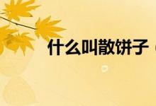 什么叫散饼子（什么叫散客拼团）