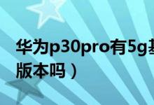 华为p30pro有5g基带吗（华为p30pro有5g版本吗）