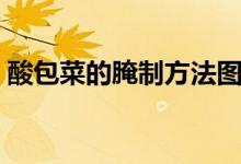 酸包菜的腌制方法图片（酸包菜的腌制方法）